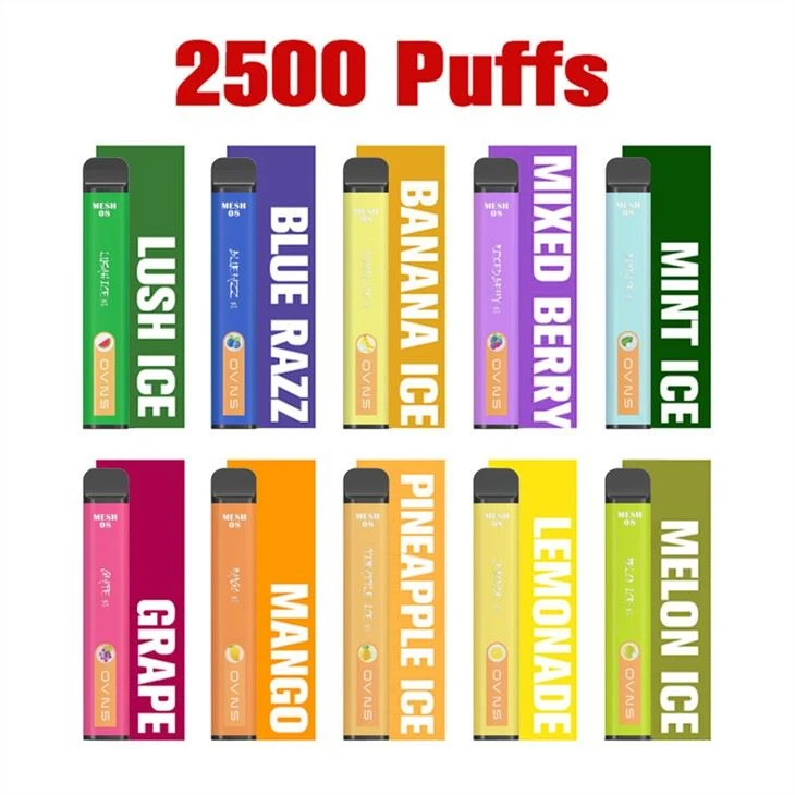 메쉬 코일 E Cig 일회용 Vape