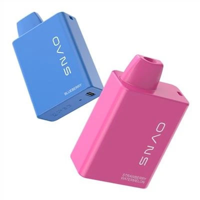 3000puffs 박스 모드 베이프