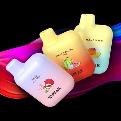 5000 퍼프 일회용 Vapes