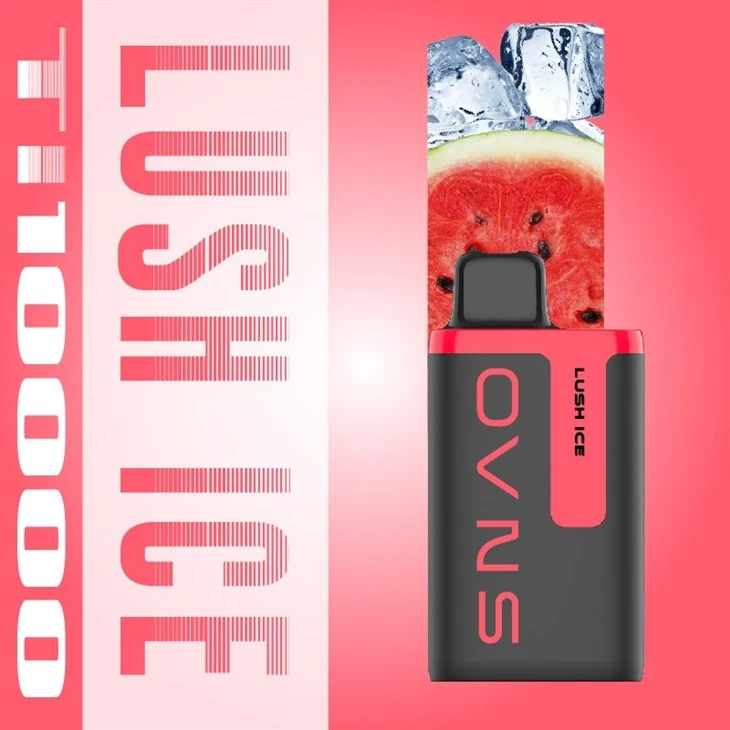 New Out Look Design 10000 Puffs Disposable Vape Device New Out Look Design 10000 Puffs Disposable Vape Device