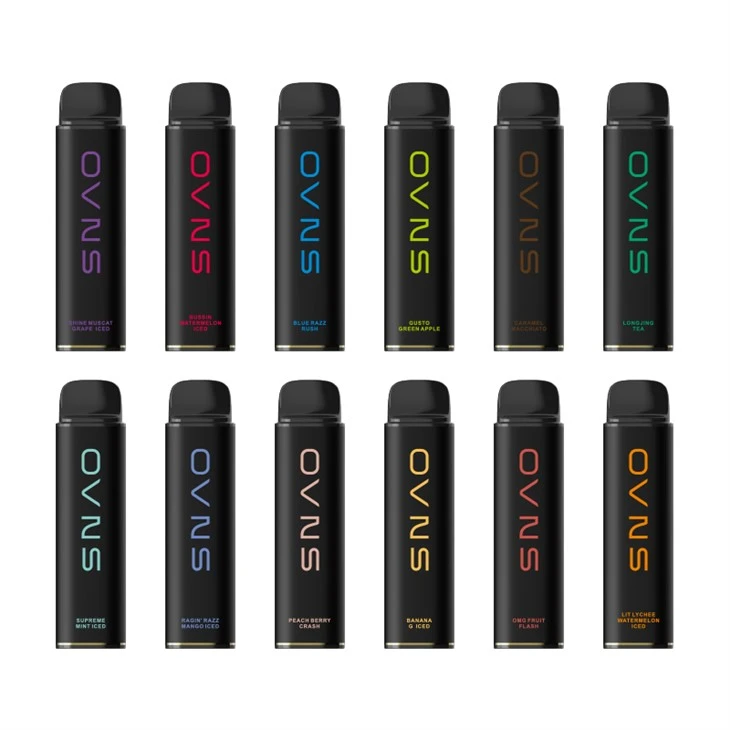 OVNS MESH15 브리즈 베이프