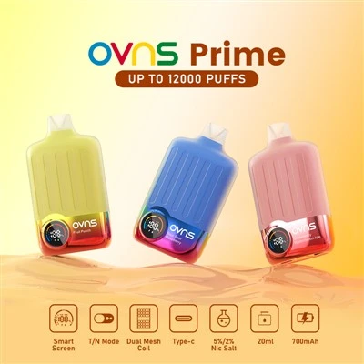 12000 퍼프 2가지 모드 Vape