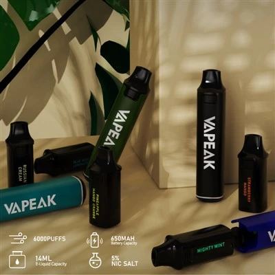OEM Vape 6000 퍼프 14ml 리필형 포드 교체 가능