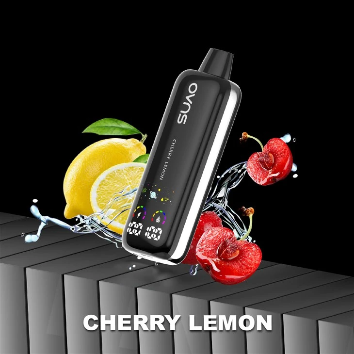 12000 Puffs Vape Pen Disposable Vape Pod
