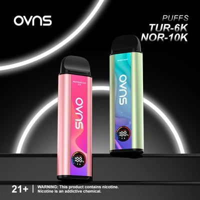 10000 퍼프 듀얼 메쉬 코일 일회용 Vape