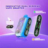 최고의 일회용 Vape USA