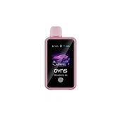 ODM OEM 일회용 30000 퍼프 베이프 공장