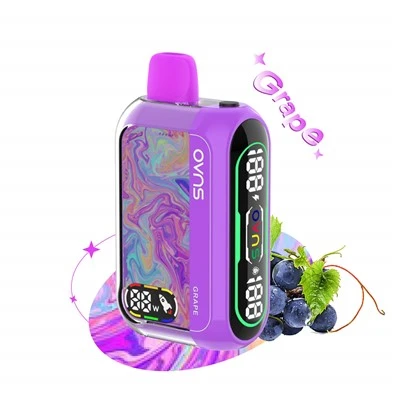 25K 퍼프 일회용 vape 펜 듀얼 스마트 SCRREN 공장 직접 vape
